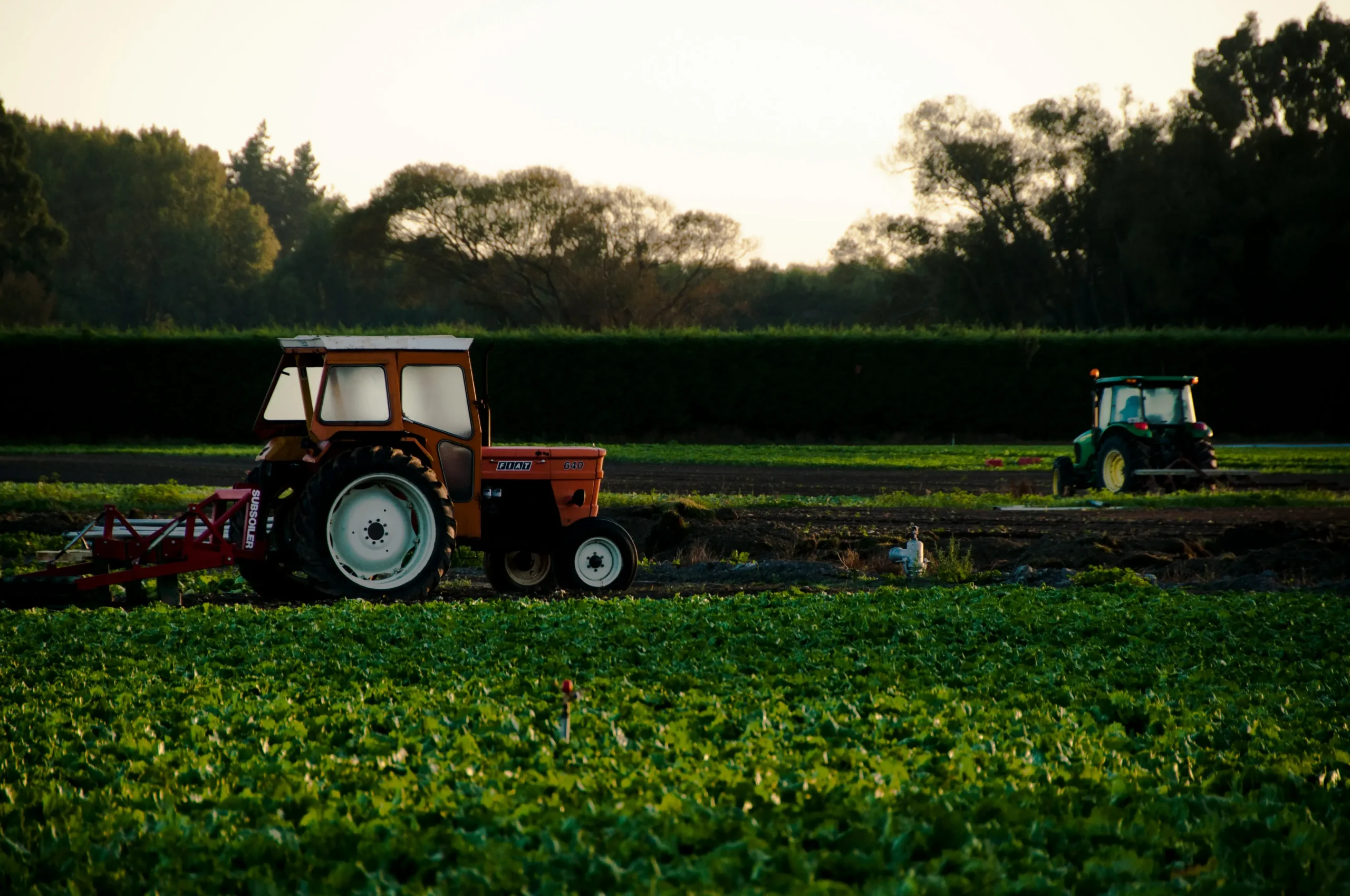 tractor in a field